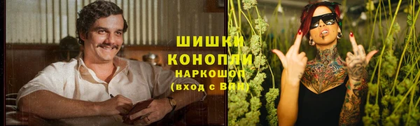 гидра Арсеньев