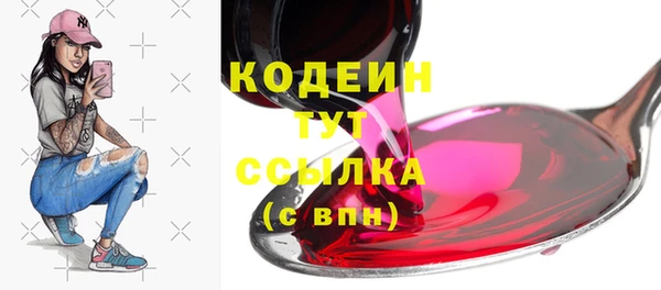 гидра Арсеньев
