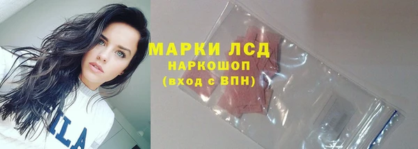 гидра Арсеньев