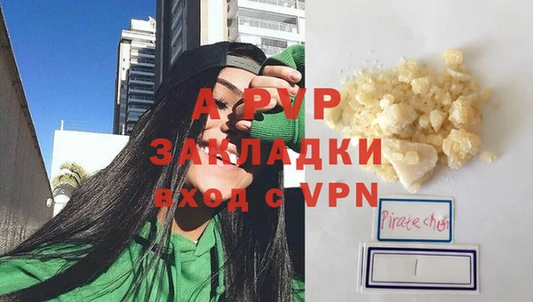 гидра Арсеньев