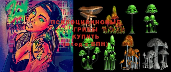 PSILOCYBIN Армянск