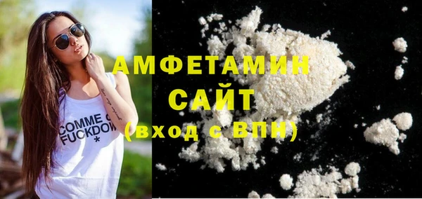 гидра Арсеньев