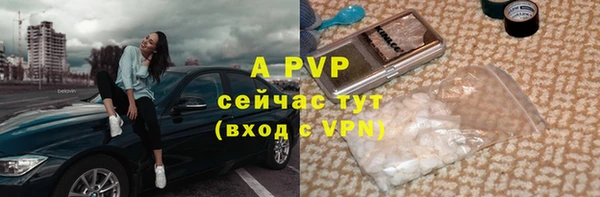 PSILOCYBIN Армянск
